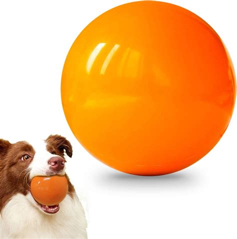 bouncy ball dog